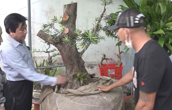 Trang tin địa phương: TP. Sóc Trăng, các huyện Thạnh Trị, Kế Sách và Mỹ Tú (14-08-2022)